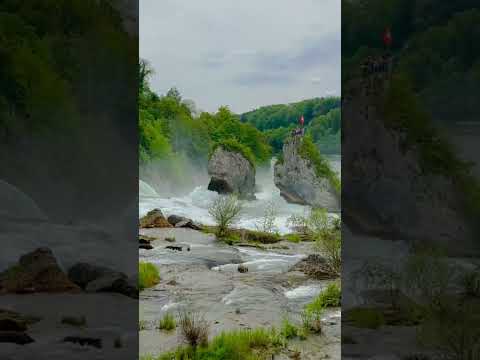 Rhine Falls: Switzerland's Natural Wonder #shorts #nature #swiss #trending #viral  #ytshorts #europe