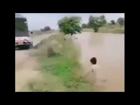 Funny clip | Funny video clip