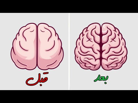 ۷ تمرین ساده برای تقویت تمرکز و افزایش قدرت ذهن 🧠