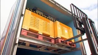 Maxiloda - Innovative Transportation Solutions!