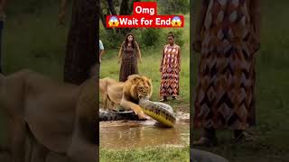 lion vs python #lion #python  #shorts