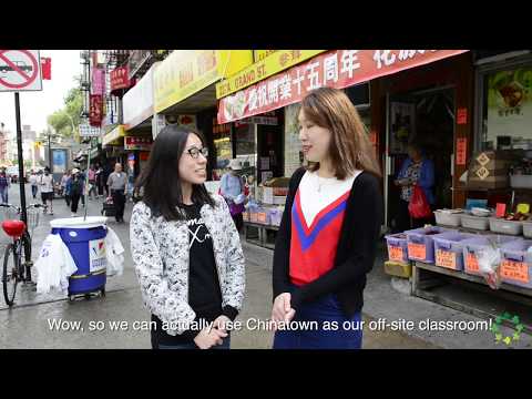 Pine Street School Mandarin Immersion Teachers: Elaine and Yue