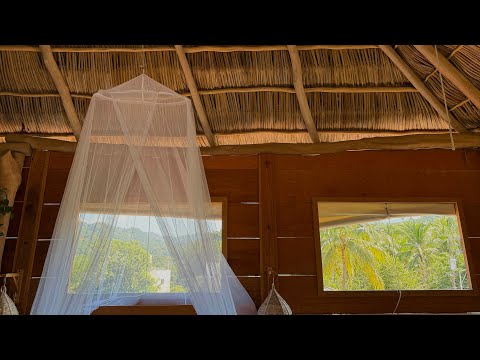 a solo trip to nayarit