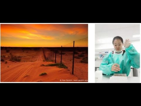 OFFS Talk; Jingyi Ding Response of Woodland to Increasing Aridity