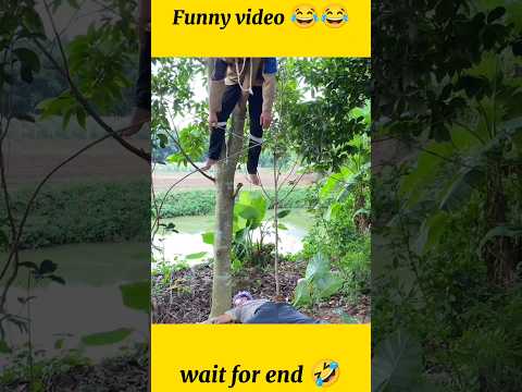 Funny video 😂😂😂#viral #trending #shorts #comedy #funny