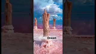 Top 5 MOST TERRIFYING UNEXPLAINED PHENOMENON.😱 #shorts