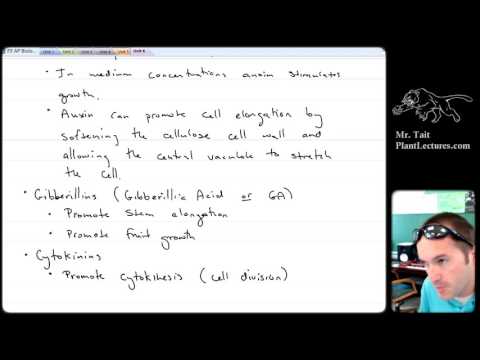 AP Biology - Plants - Lesson 3: Plant Hormones
