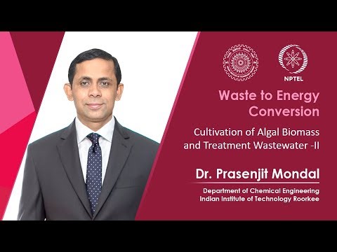 Cultivation of algal biomass and treatment of waste water-2