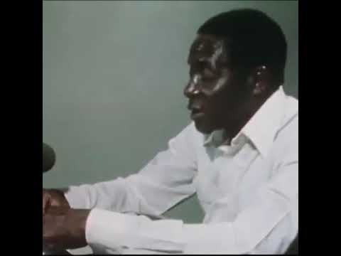 An energetic Mugabe calls for free and fair elections.