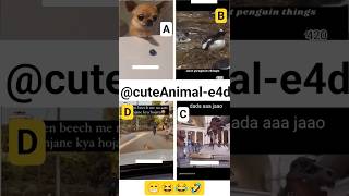 cute animals funny video trending shorts 😍PT-45 #cuteanimalsfunnyvideos​ #funnycomedyshorts #funnl