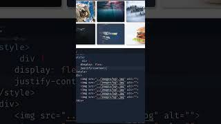 Image Gallery In HTML CSS #coding #csstutorial #cssimage #htmlimages #imagegallery #csstutorial #css