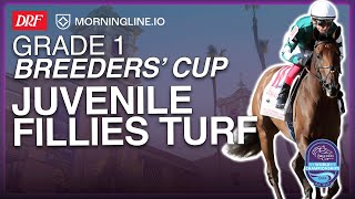 Breeders' Cup Juvenile Fillies Turf | October 31, 2025