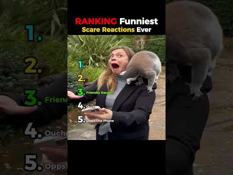 Ranking Funniest Scare Reactions Ever #funny