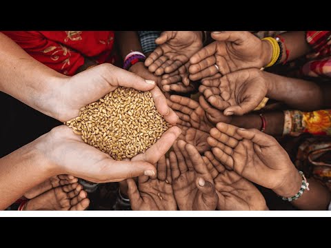 The Global Food Crisis Unveiled: A Countdown to Catastrophe