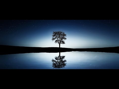 Arc North - Meant To Be (feat  Krista Marina)  (Music Video)