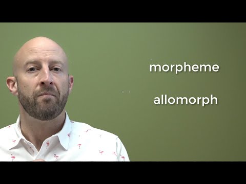 Morphology (part 2)