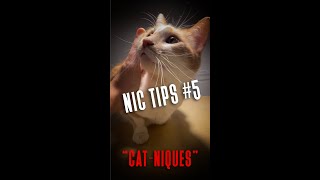 Nic Tip #5: Cat-niques