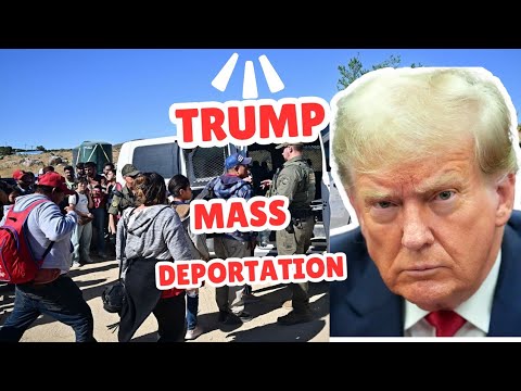 TRUMP MASS DEPORTATIONS: NYC MIGRANTS BRACE FOR IMPACT. #trump #politicalnews #nyc #usa