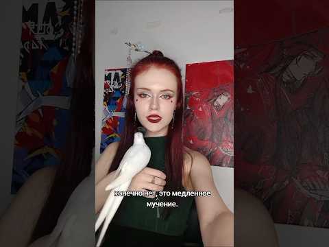 почему попугая нельзя держать одного без пары? #птицы #попугаи #корелла #неразлучники