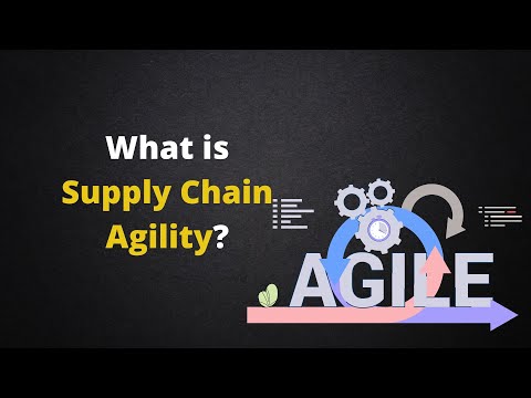 Supply Chain Agility  _ Daily Logistics