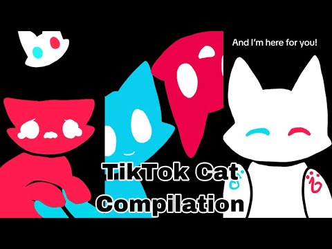 TikTok Cat Compilation #1 By Feyzart! ❤️🤍🩵