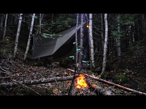 Wild Camping In Rainy Cold Forest - Campfire Cooking - Hammock Tarp Shelter
