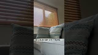 “peaceful lodge mornings hit different ☀️ #broxtvibes #morningaesthetic #quietvibes