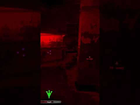 Red Light Nightmare  Porn Break Turns Deadly Don't Get Caught!