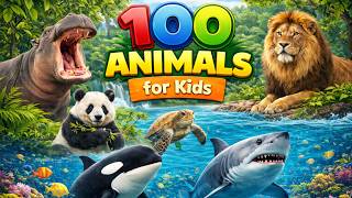 100 Animals for Kids | Learn Animal Names with 100 Different of Wild & Sea Animals for Kids