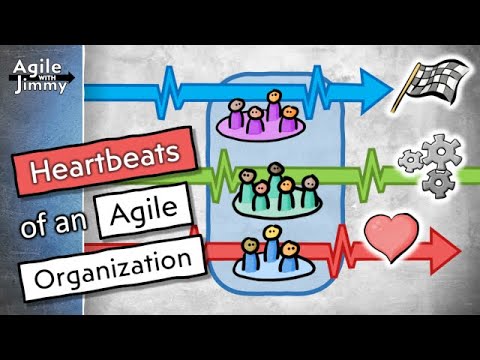 Heartbeats of an Agile Organization – Agile with Jimmy
