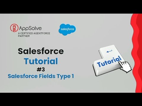 Salesforce Field Types Explained - AutoNumber, Formula & Lookup