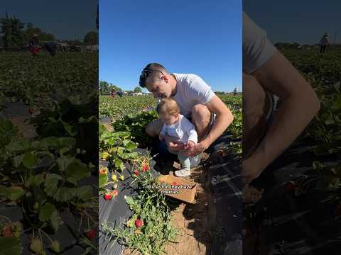 What we spend in a day as a family of 3 living in San Francisco… strawberry edition! 🍓 #budget