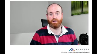 Creating custom attributes in the Avantra UI