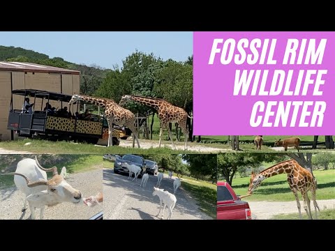 Fossil Rim Wildlife Center | Glen Rose | Texas