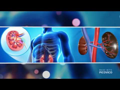 Best Kidney Hospital In Delhi