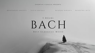 5 Hours Bach - Best Classical Music