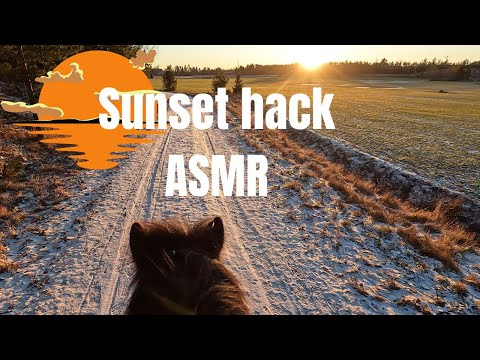 Hacking out during sunset | ASMR