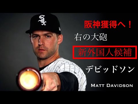 阪神の新外国人候補デビッドソンの本塁打集 マット・デビッドソン Matt Davidson