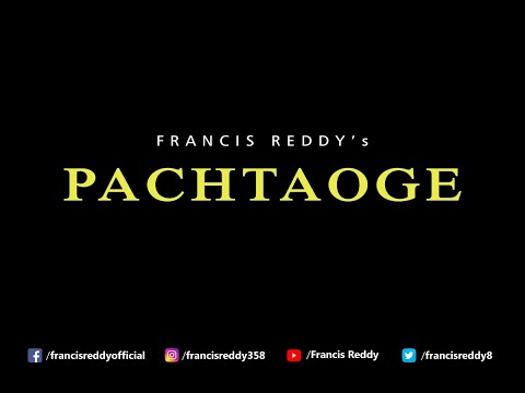 Pachtaoge | Francis Reddy
