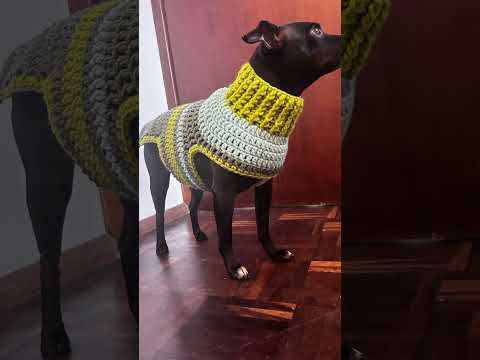 Aula disponível dessa roupinha!! #crochet #tricot #roupapet #modapet