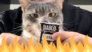 iamrigbycat Food Review #1
