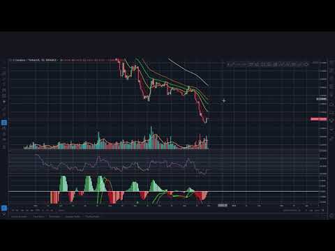 Market Update November 30