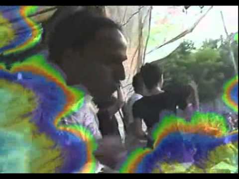 Mosca in stanzia [1997]
