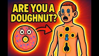 How Many Holes Does a Human Really Have?#mind warp science