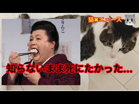 普段食べている練りわさびの正体　マツコも「全然知らなかった…」　(マツコデラックス　マツコ　わさび　マツコの知らない世界　猫✖︎ニュース)　#255