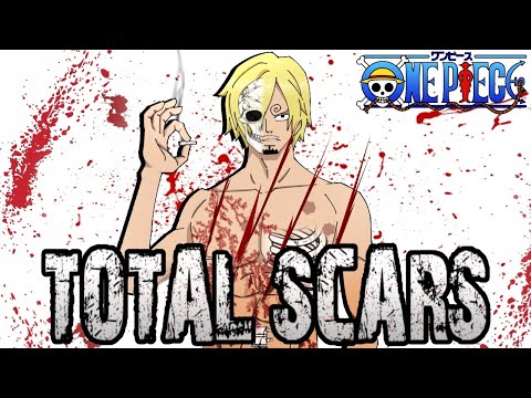 Vinsmoke Sanji | Total Scars | One Piece
