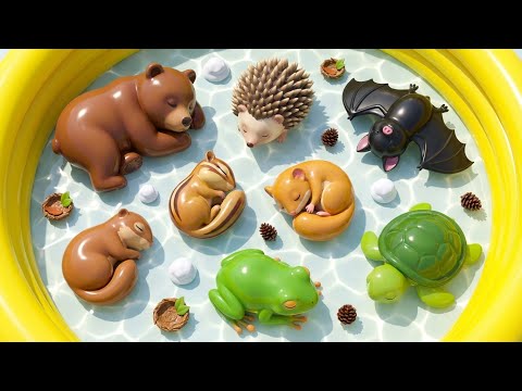 100 Hibernating Animals for Kids: Bears That Sleep All Winter | Educational Videos For Toddlers