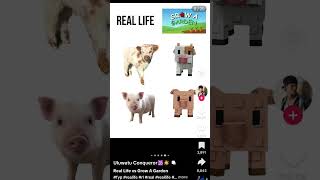 #growagarden #inreallife #roblox #fypシ゚viral #ytshorts
