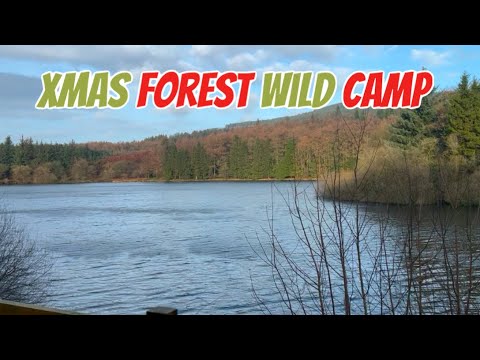 Xmas Forest Wild Camp