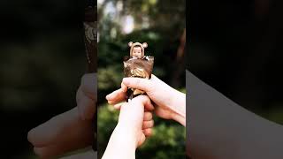 Acting Tricks 2 #lifehacks #lifeadventure #mindblowingtricks #lifehacks #hidingthings